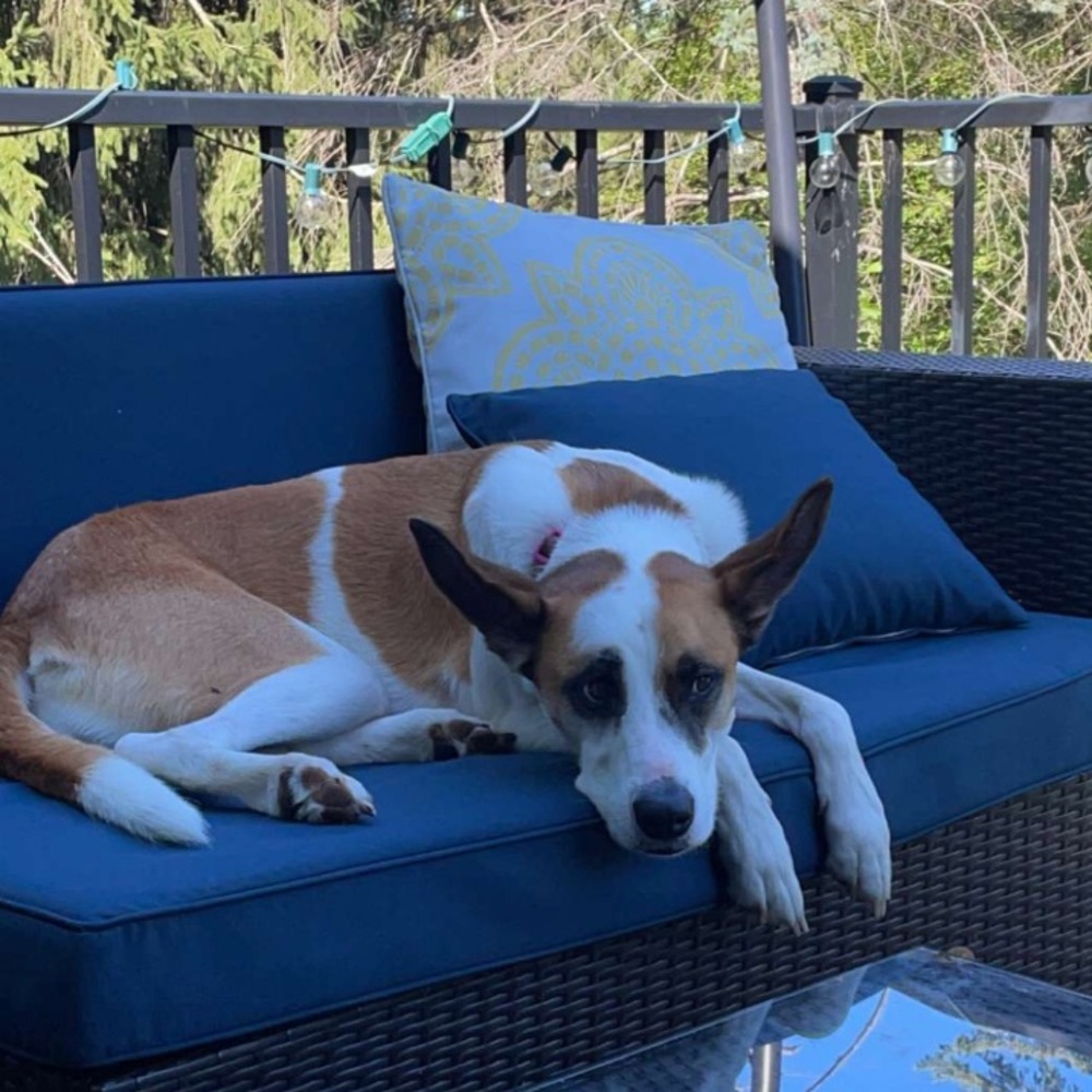 Meet your Posher, Addie